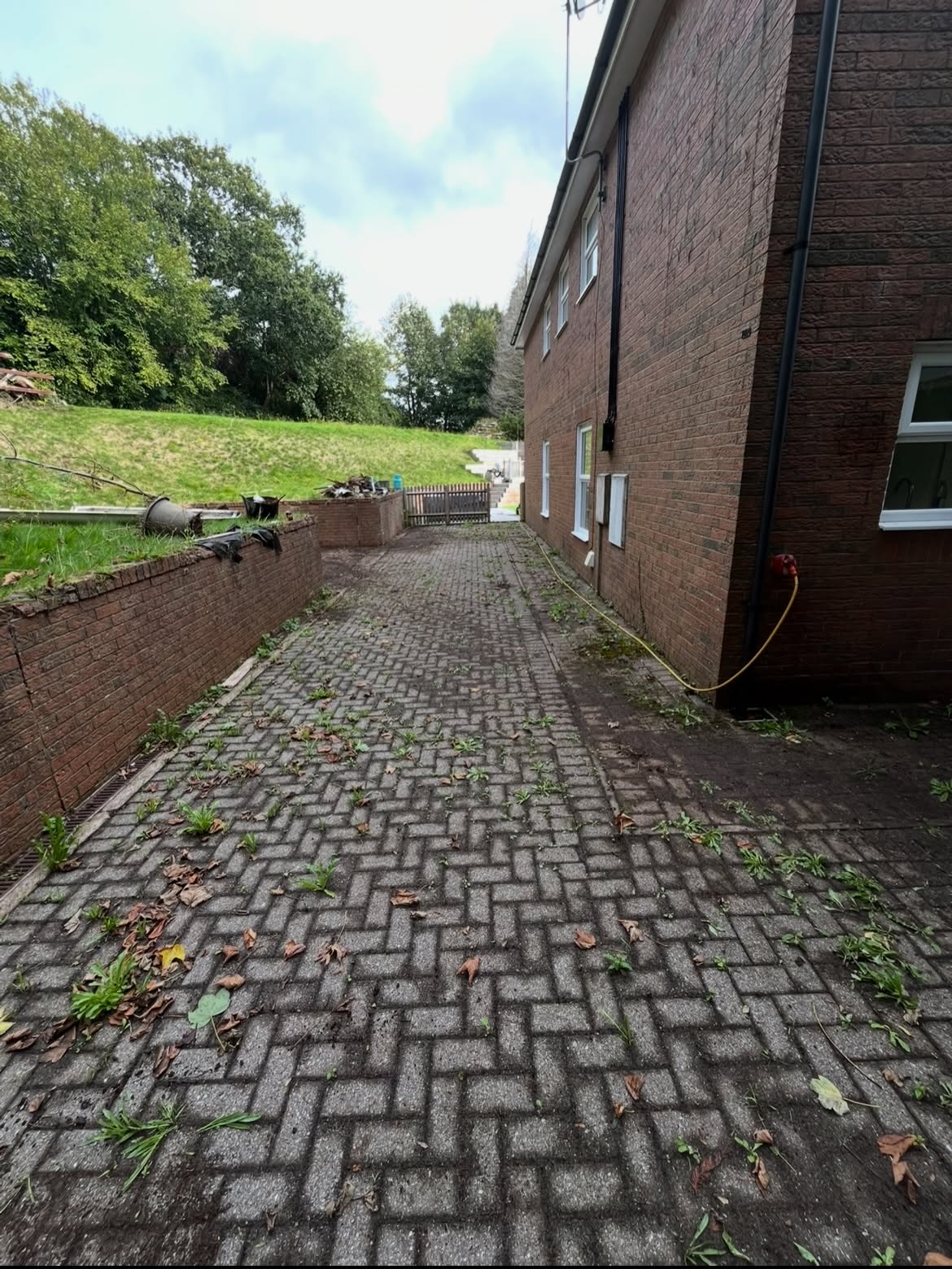 Overgrown block-paved path before a Marine Clean visit